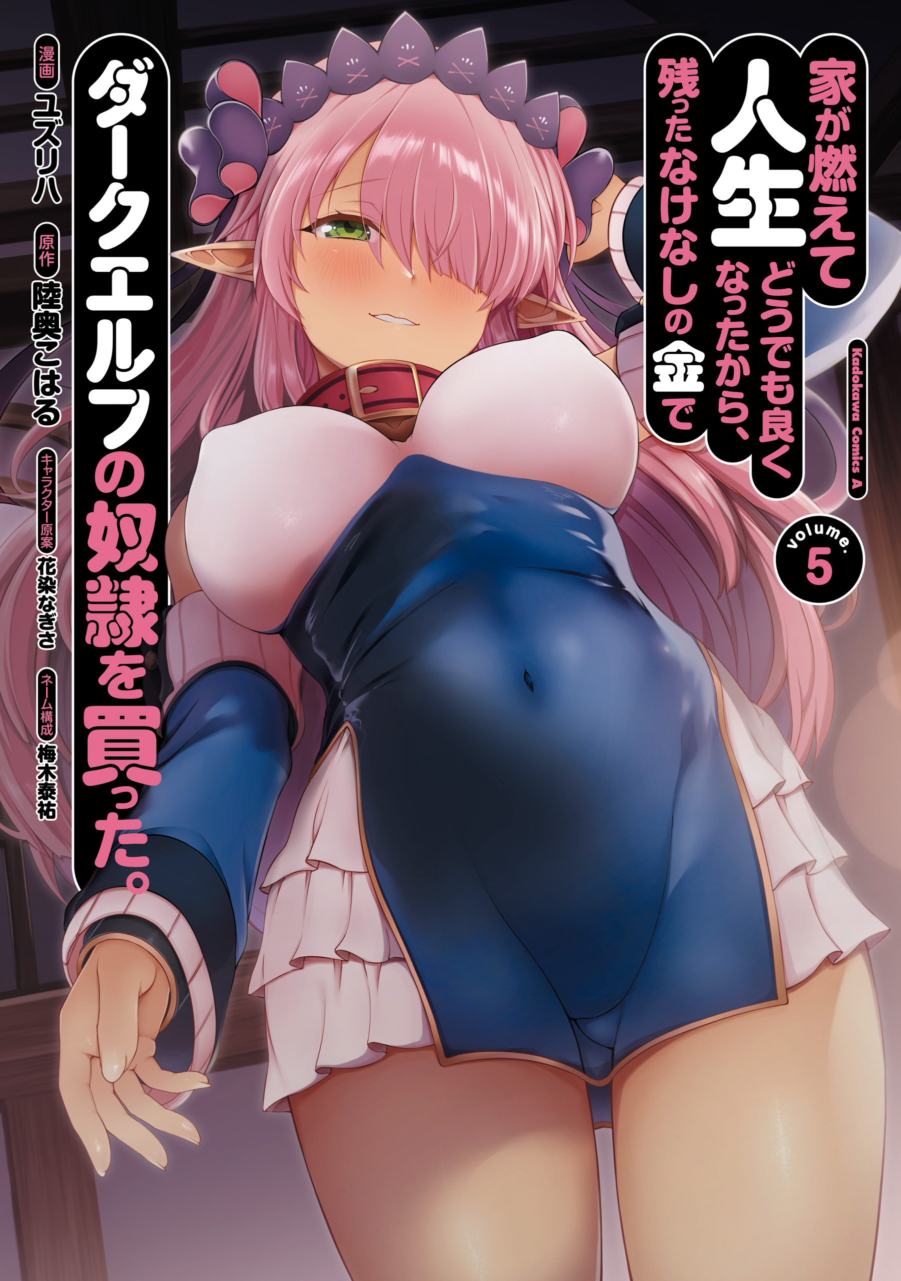 Ie ga Moete Jinsei Dou Demo Yoku Natta kara, Nokotta Nakenashi no Kin de Dark Elf no Dorei o Katta.