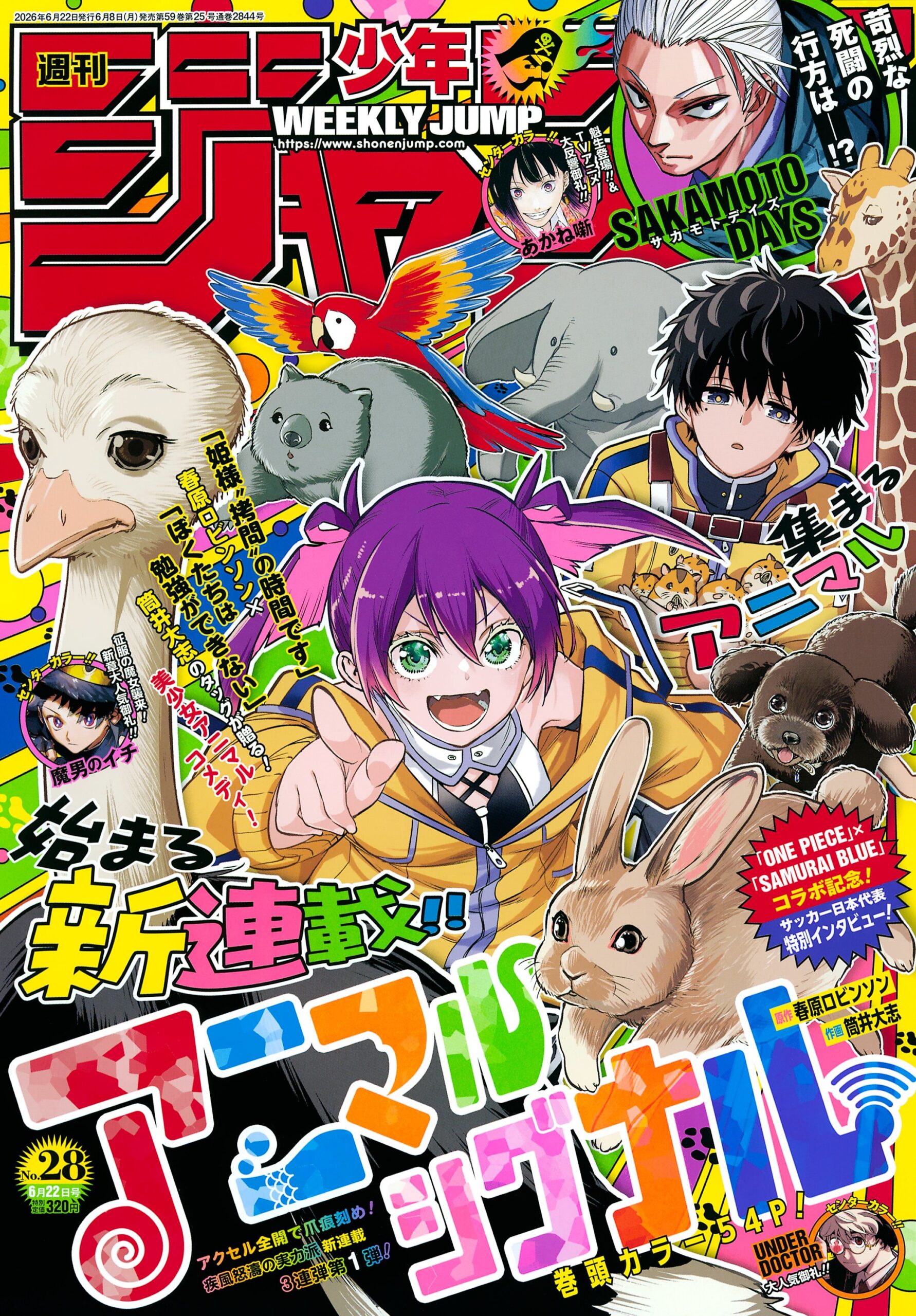 Animal Signal