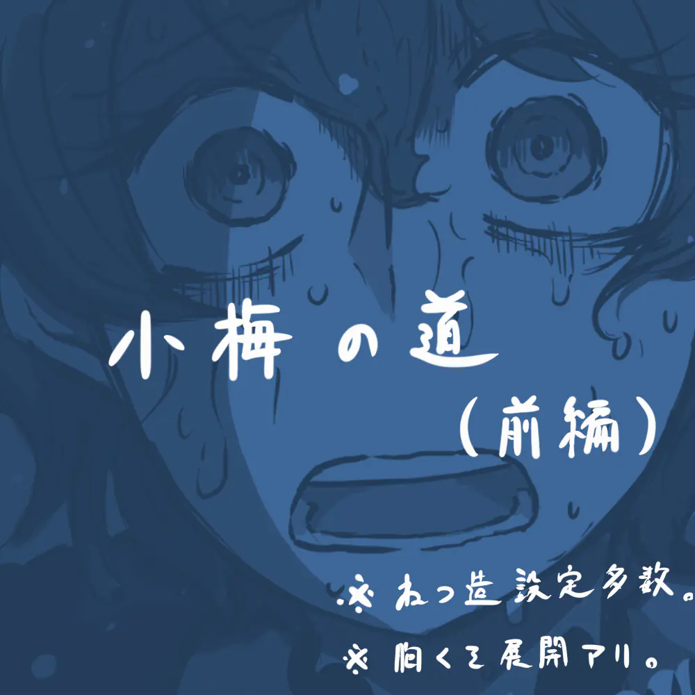 Girls und Panzer – Unofficial Story – Koume’s Road